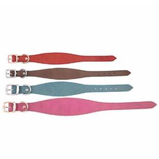Collar Leathers Soft Padding Collars Elegant Wide Dogs