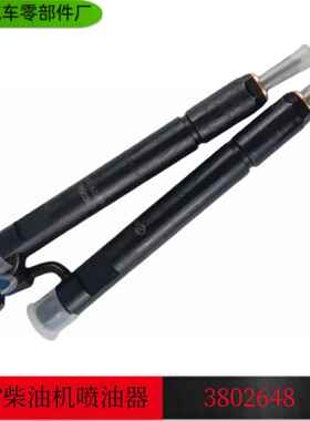 康明斯发动机6CT8.3喷油器/喷油嘴/3802648/3926787
