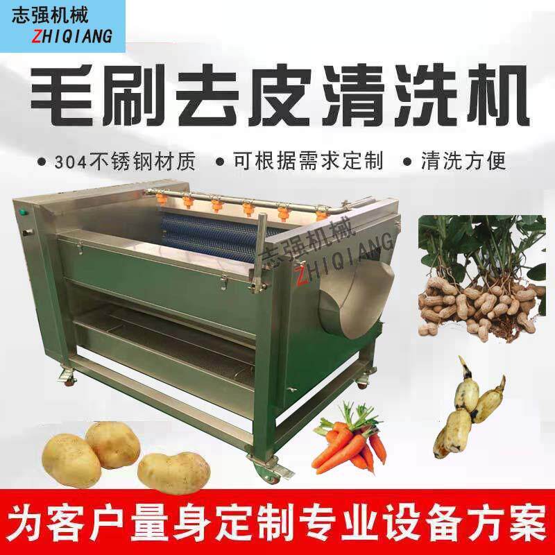志强供应黄花鱼气泡清洗机 海鲜清洗流水线设备 山药毛辊清洗机器