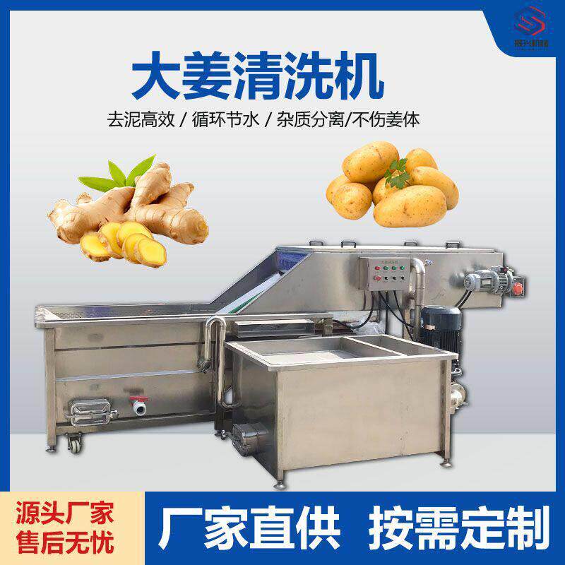 全自动生姜清洗机藕片竹笋压喷淋式清洗设备预制菜清洗加工产线