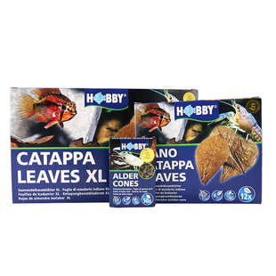 德国哈比桤木果懒人叶榄仁叶软水调节PH值黄水定水抑菌增加免疫力