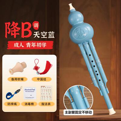 正品2025款升级版葫芦丝C调新乐器学小生专用降B调防摔儿童初学教