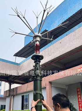 半体少长消雷装置多导针消RY-PLR50雷器针驱雷装置拒雷装置