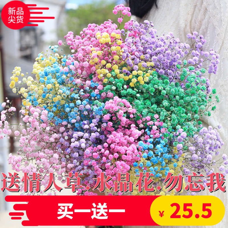满天星干花花束客厅摆设真花鲜花装饰摆件云南基地直发包邮