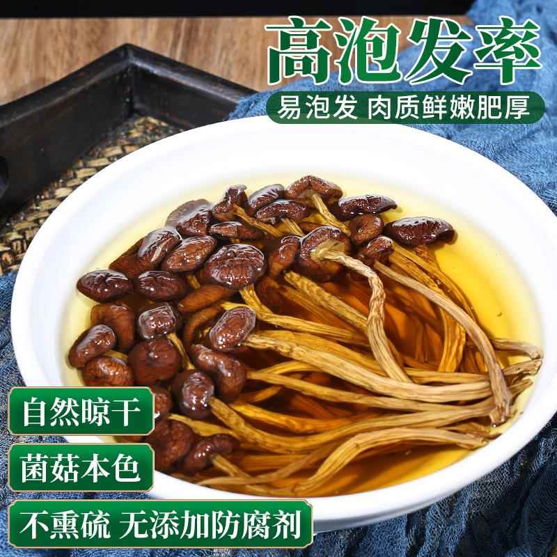 新货茶树菇干货净重云南特产农家脆嫩蘑菇炒菜炖汤食材不开伞菌菇