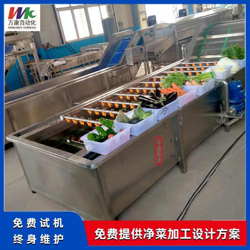山野菜价格清洗机设备清洗机喷淋气泡刺清洗机加工香椿蕨菜芽老