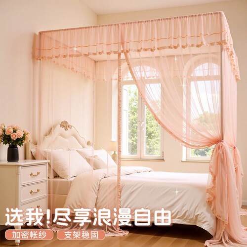 2025新款落地蚊帐家用卧室三门全罩式加粗支架免安装25宫廷纹账