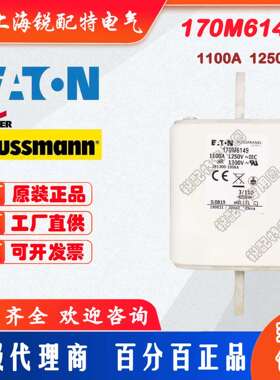 170M6149快速熔断器 1250V 1100A 巴斯曼BUSSMANN快速熔断器