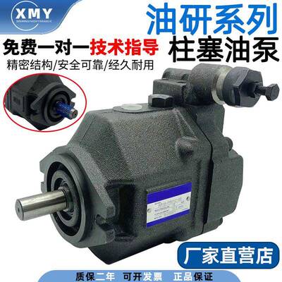 适用AR16-FR01C-20/22台湾油研AR22-FR01C/B/CS/BS/-22柱塞油泵YU