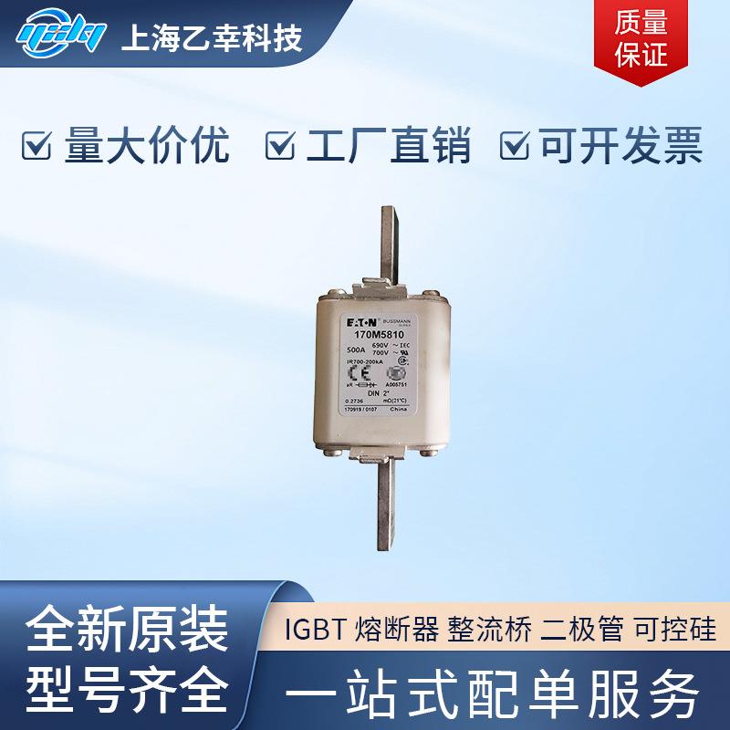 巴斯曼熔断器 170M5809 170M5810 170M5811 170M5812 170M5813