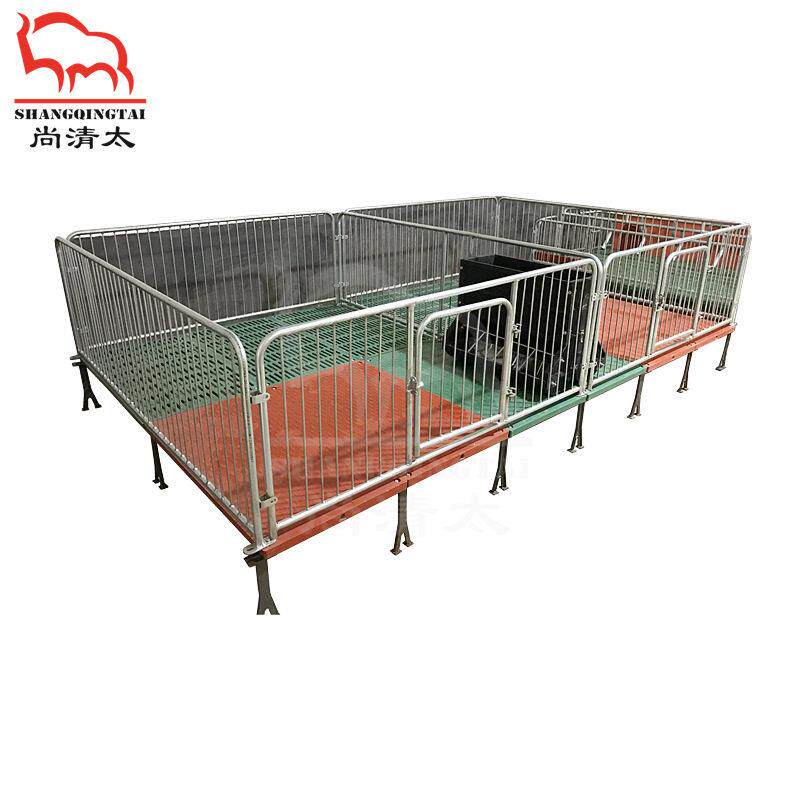 猪场保育栏 小猪仔猪保育床养殖场栏位 热浸锌金属栏畜牧养殖设备