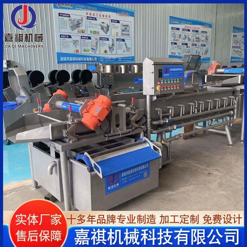 翻斗式涡流清洗机全自动低位涡流清洗机不锈钢豆芽菜清洗机