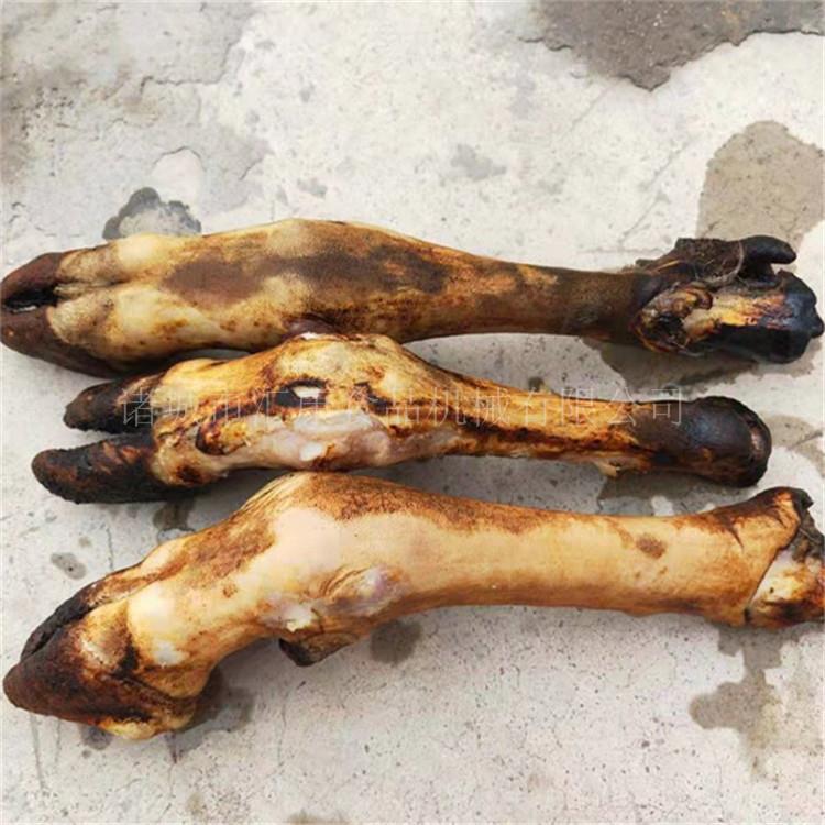 汇康机械研发生产自动燃气毛牛头烧毛机 连续式牛蹄燎毛机