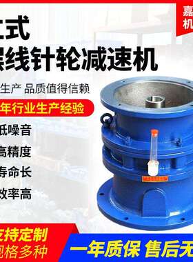 立式XWDXLD摆线针轮减速机混合机设备专用减速机精密齿轮减速机