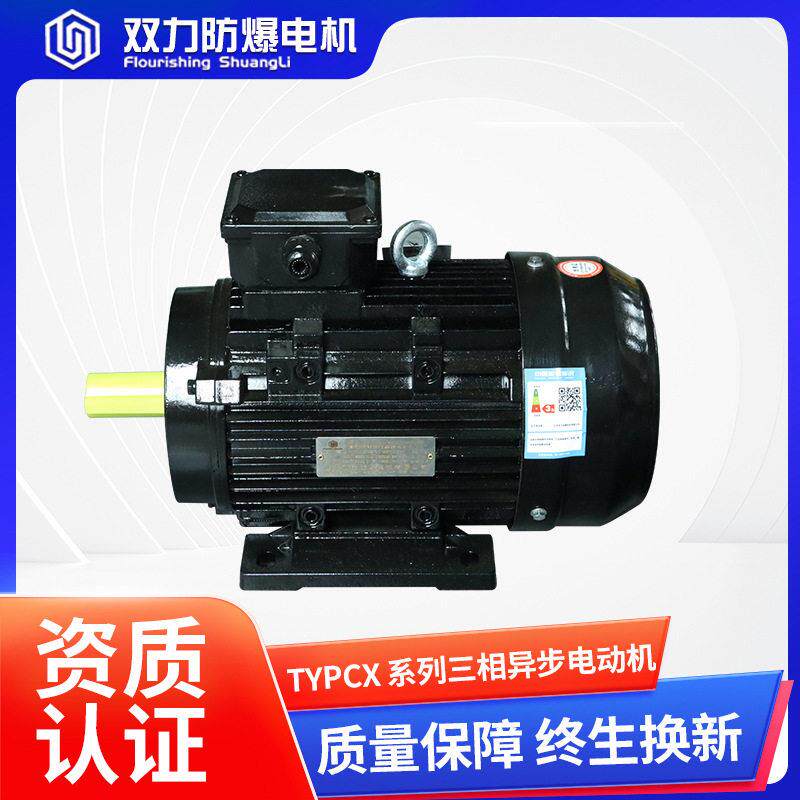 TYPCX系列三相调速永磁同步电动机纯铜节能变频调速380V电动机