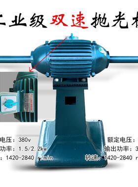 抛立式调速RDF双速抛光机光工业级大型双边尖头机380V三相电抛光