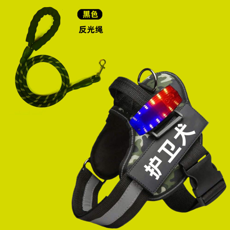 柴犬金闪光灯狗狗夜行猫牵引绳