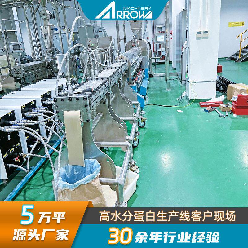 水分拉丝蛋白生产线全自动人造素肉机械大豆蛋白肉加工挤压机