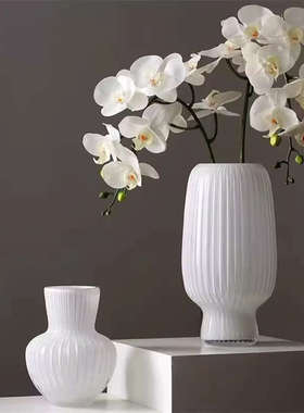 isn风花瓶玻璃花盆白色高级感轻奢水培养插花客厅桌面装饰摆件