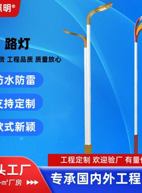 厂家直销太阳能LED市电路灯花瓣草坪玉兰灯臂双臂道路灯