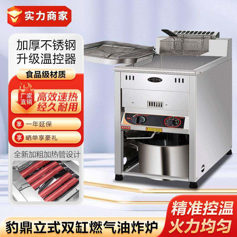 台湾豹鼎立式燃气炸炉缸双缸商用油炸炉天然气炸锅油炸机炸薯条
