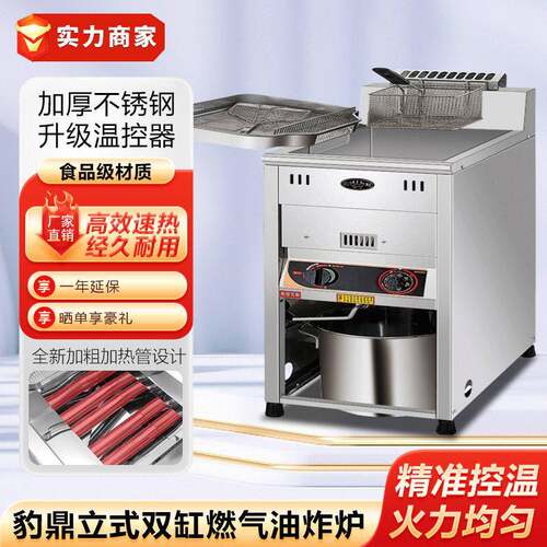 台湾豹鼎立式燃气炸炉缸双缸商用油炸炉天然气炸锅油炸机炸薯条