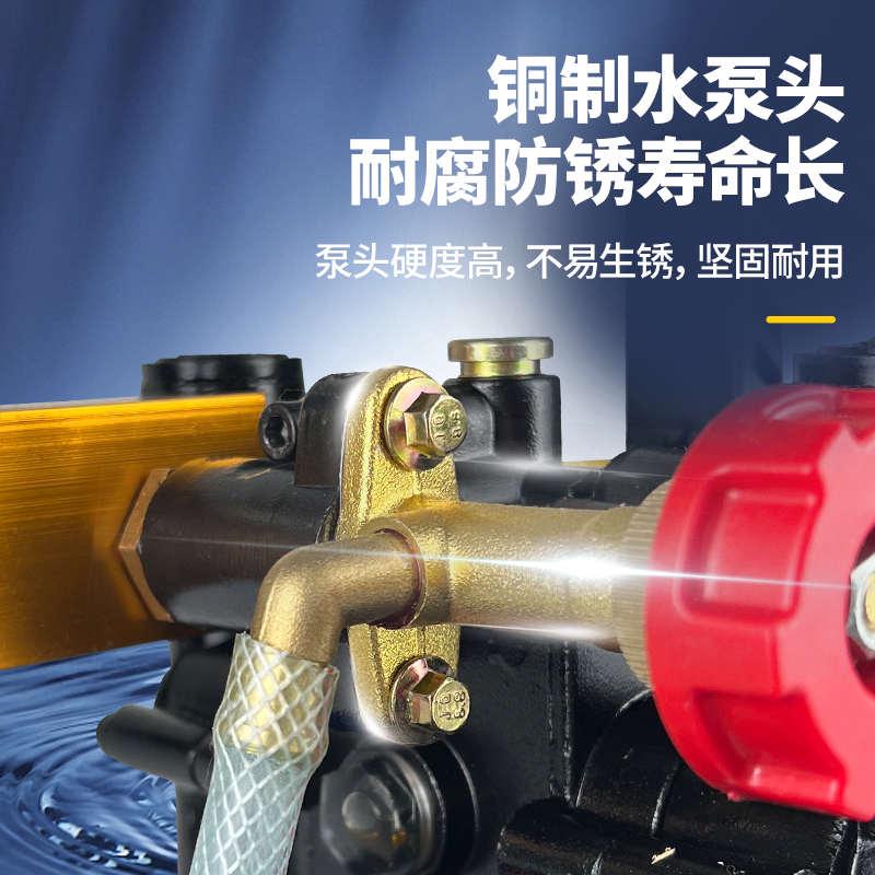 手提式电动试压泵DSY-25/60纯铜打压机水管道试压机双缸打压泵