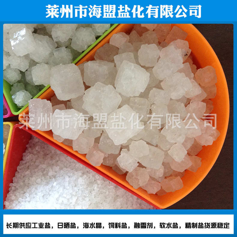 厂家现货软水机盐净水处理用海盐观赏鱼用盐 10kg软水盐量大质优