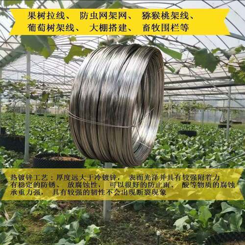 国标热浸镀锌钢丝农业不生锈调直钢丝奇异果单股葡萄架拉线 线防