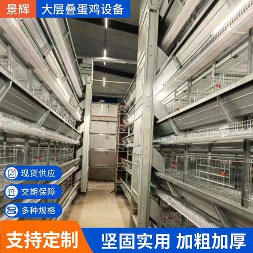 大层叠蛋鸡设备立式H型蛋鸡笼养鸡全自动化养殖笼具鸡场养殖机械