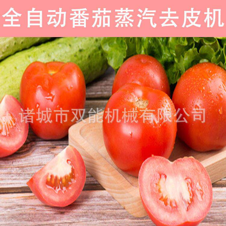 番茄蒸汽脱皮机物理蒸汽爆破无液安全环保果蔬去皮机械