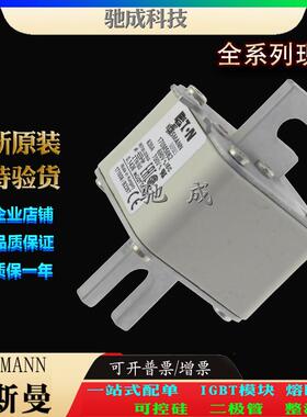 巴斯曼170M5018 170M5058 170M5059 原装进口厂价直供 低压熔断器