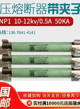 高压限流熔断器PT电压互感器XRNP1-10/12KV/0.5A1A2A3A带夹子一套