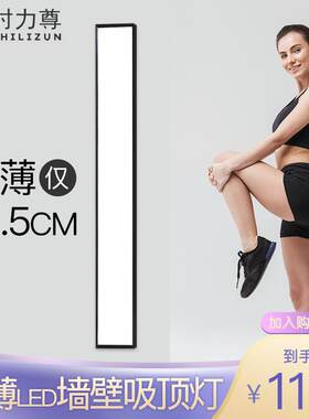 超薄长条平板灯面板灯壁灯过道展厅现代简约壁灯酒店墙壁灯