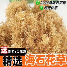 正宗南澳野生海石花草海，石花菜原料商用海干货，500g四果汤海凉粉