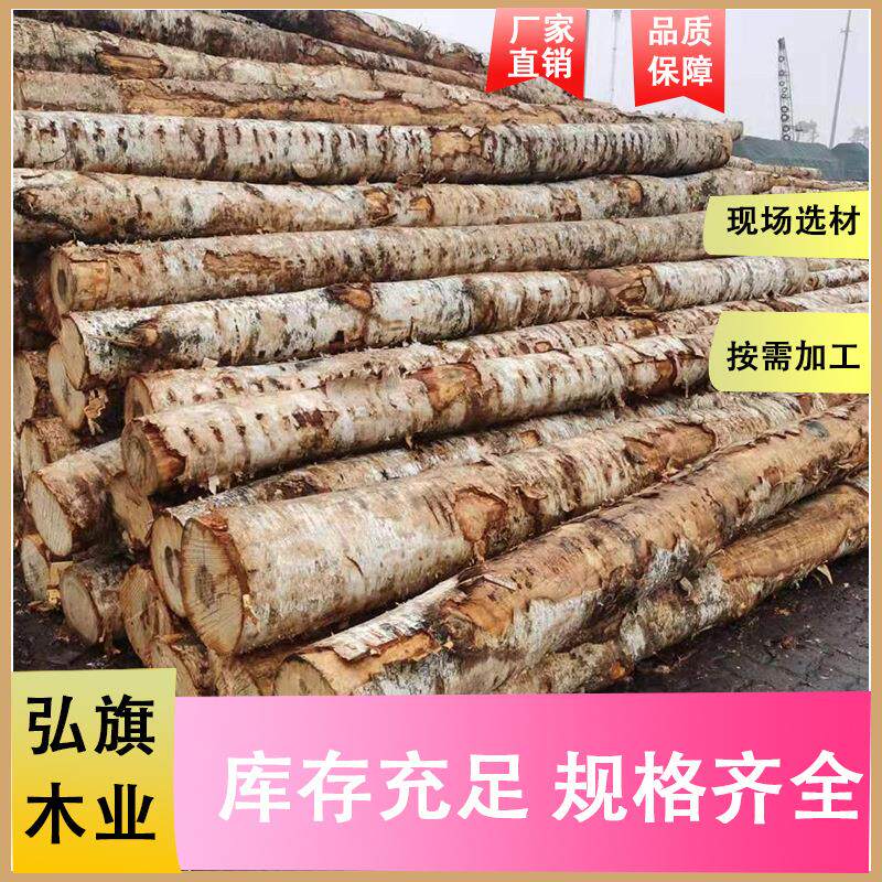 桦木原木俄罗斯白桦枫桦旋切家具材桦木防腐烘干实木板木方