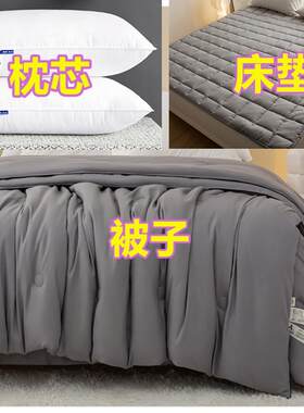 床垫枕芯全套棉被芯夏被春秋被褥套装三件学生单人宿舍被子