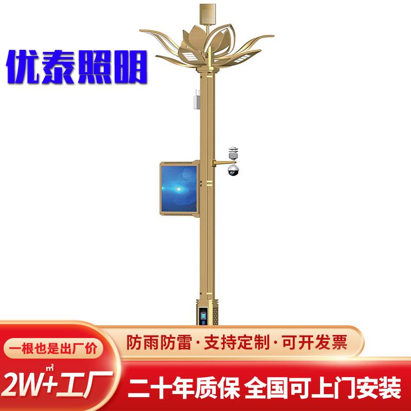 八叉九火中华灯厂家直供5-2米广场公园景观灯LED户外灯四叉五火