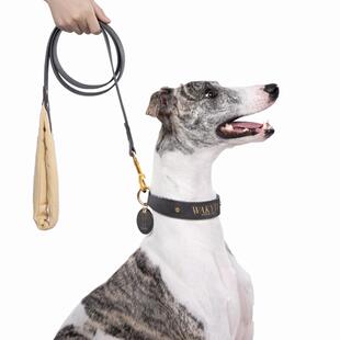狗狗牵引绳项圈中大型犬P炼 灵缇惠比特细猎犬遛狗防挣脱爆冲炼子