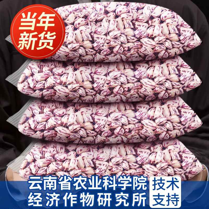 农科院云南七彩花生米2025新鲜生花生带壳新鲜晒干彩色熟花生仁种