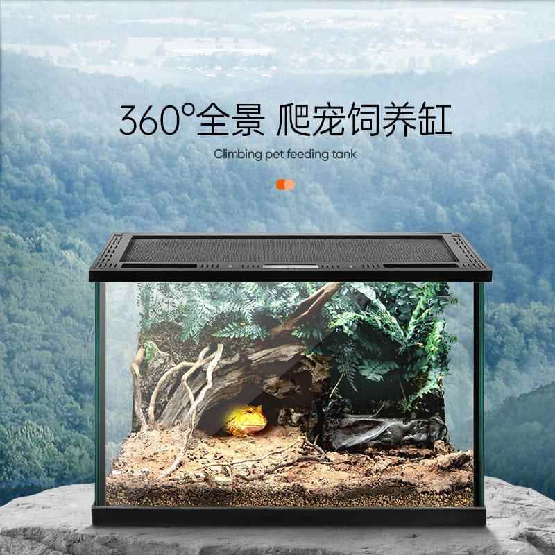 爬宠缸全透生态缸饲养箱守宫蜥蜴角蛙寄居蟹乌龟蛇虫爬宠玻璃雨林