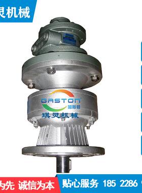 减速气动马达叶片式气动达叶QL-AMV微型片式立式卧式I马EC气马动