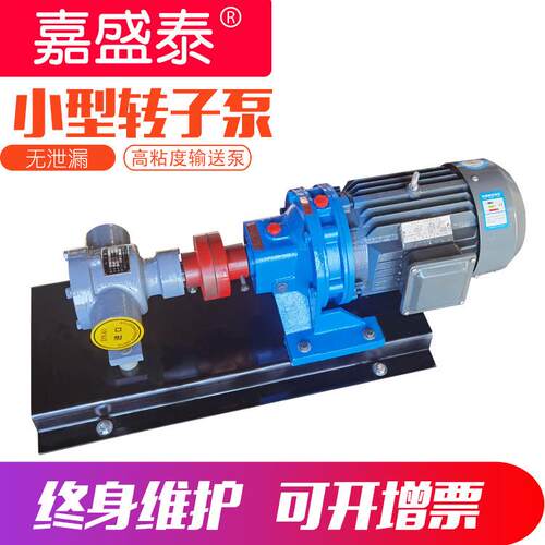 小型高粘度转子泵胶水环氧树脂自吸泵内啮合油漆涂料转子泵