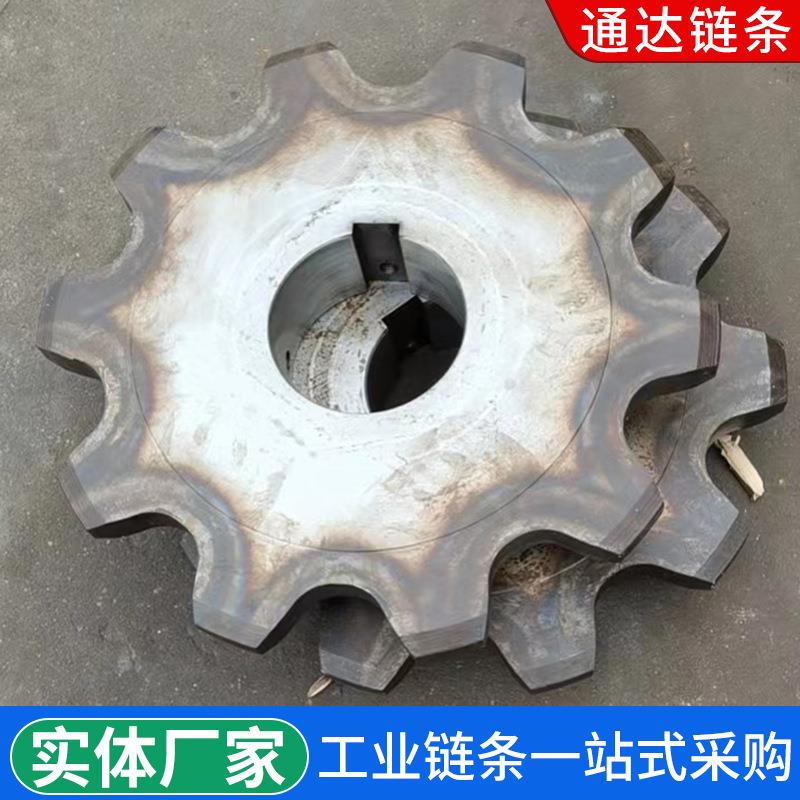 输送链轮齿轮节距01005/125/1链0265/20不锈钢输送链条齿轮传动轮