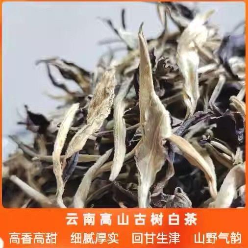 2023年新茶景谷月光白茶散茶250g散装云南茶叶月光美人白茶白白叶