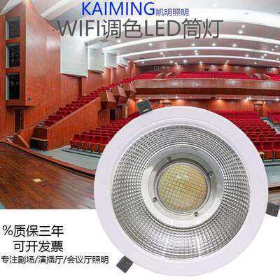 调光调色温led筒灯 30w50w60w80w变光双色DMX512筒灯礼堂照明射灯