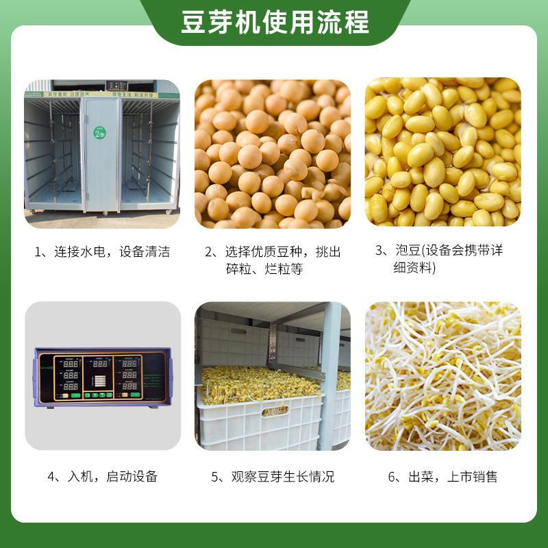 大型豆芽机全自动商用智能豆芽机大容量黄豆生豆芽机花生芽催芽机