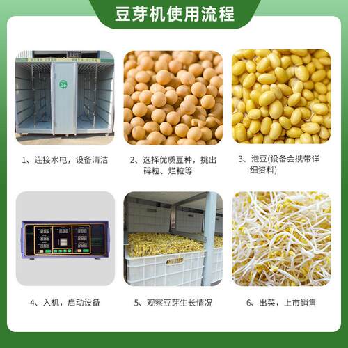 大型豆芽机全自动商用智能豆芽机大容量黄豆生豆芽机花生芽催芽机