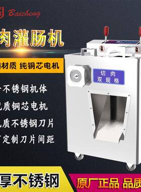 JQ-1单规格绞切肉机大功率电动立式碎肉机厨房灌肠机广东荣艺