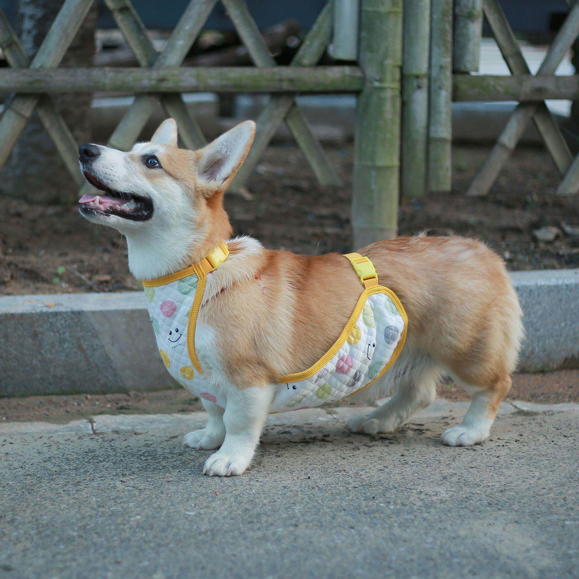 厂家供应卡通清新柠檬肚兜护肚衣中小型犬居家服宠物衣服